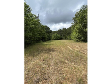 I'm excited to present this exceptional property on behalf of - photo 9