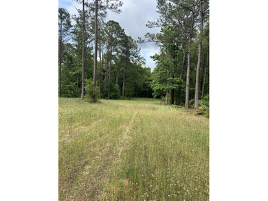 I'm excited to present this exceptional property on behalf of - photo 10