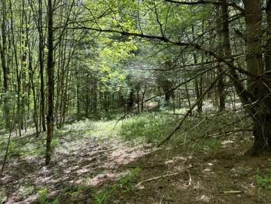 Upstate New York Camp or Camper Site - photo 8