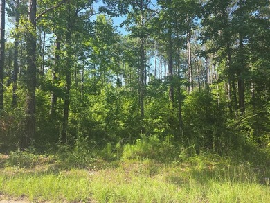 PERFECT LOT FOR YOUR NEW MOBILE HOME, NEW BUILD, OR YOUR WEEKEND - photo 1
