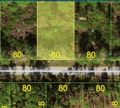 Port Charlotte Waterway Lakes Area Lot Sale Pending in Port Charlotte Florida