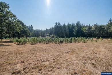 Accepted Offer with Contingencies. Beautiful 10-acre property