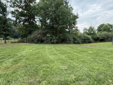 Lake Lot For Sale in Hamilton, Indiana
