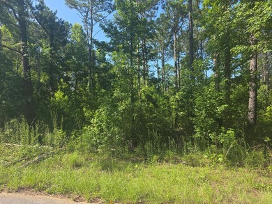 PERFECT LOT FOR YOUR NEW MOBILE HOME, NEW BUILD OR WEEKEND - photo 1