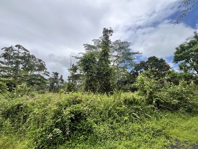 Two side-by-side vacant lots to be sold together. Offering a - photo 1