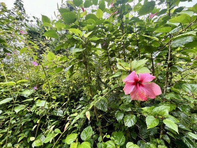 Two side-by-side vacant lots to be sold together. Offering a - photo 3