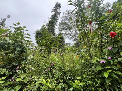 Two side-by-side vacant lots to be sold together. Offering a - photo 4
