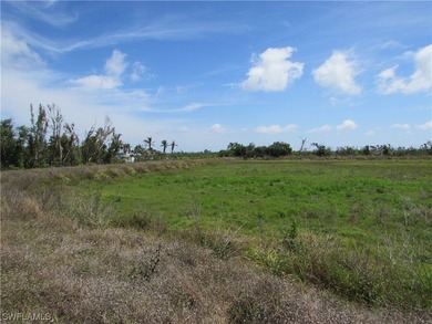 102.3 Acres...Located at the North end of Pine Island at the - photo 11