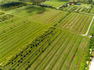 102.3 Acres...Located at the North end of Pine Island at the - photo 12