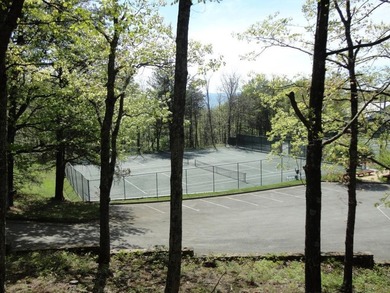 Build Your Dream Home On This Fabulous .91 Acre Lot 4 in The - photo 12