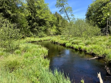 Upstate New York Camp or Camper Site - photo 2