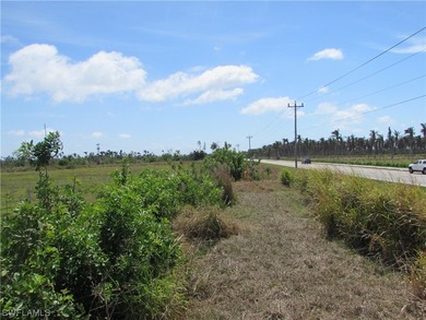 102.3 Acres...Located at the North end of Pine Island at the - photo 14