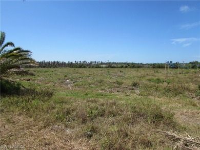 102.3 Acres...Located at the North end of Pine Island at the - photo 15