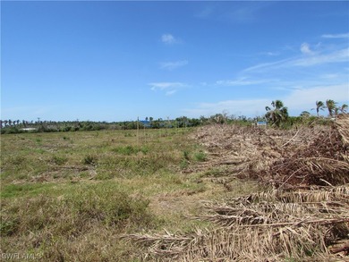 102.3 Acres...Located at the North end of Pine Island at the - photo 16