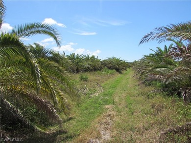 102.3 Acres...Located at the North end of Pine Island at the - photo 17