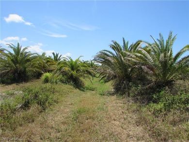 102.3 Acres...Located at the North end of Pine Island at the - photo 18
