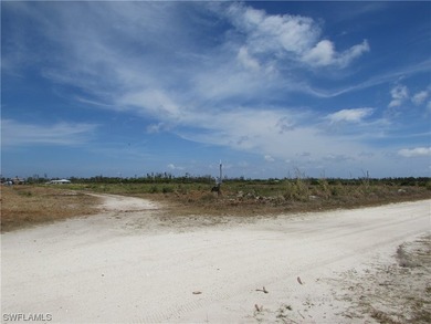 102.3 Acres...Located at the North end of Pine Island at the - photo 19