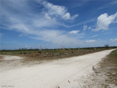 102.3 Acres...Located at the North end of Pine Island at the - photo 20