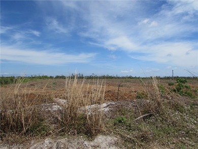 102.3 Acres...Located at the North end of Pine Island at the - photo 23