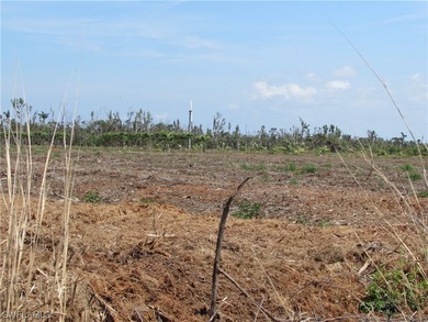 102.3 Acres...Located at the North end of Pine Island at the - photo 24