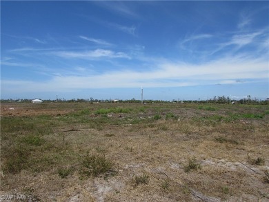 102.3 Acres...Located at the North end of Pine Island at the - photo 25