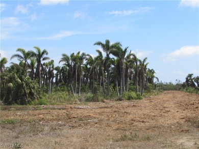 102.3 Acres...Located at the North end of Pine Island at the - photo 26