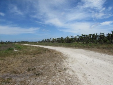 102.3 Acres...Located at the North end of Pine Island at the - photo 27