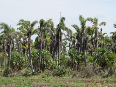 102.3 Acres...Located at the North end of Pine Island at the - photo 28