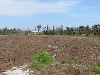 102.3 Acres...Located at the North end of Pine Island at the - photo 29