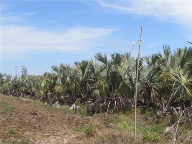 102.3 Acres...Located at the North end of Pine Island at the - photo 30