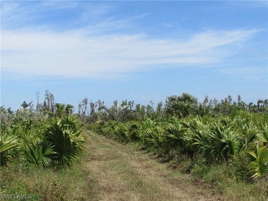 102.3 Acres...Located at the North end of Pine Island at the - photo 31