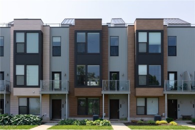 Lake Condo For Sale in Cleveland, Ohio