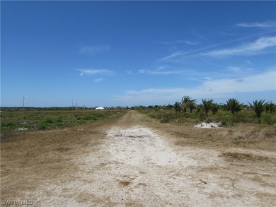 102.3 Acres...Located at the North end of Pine Island at the - photo 32