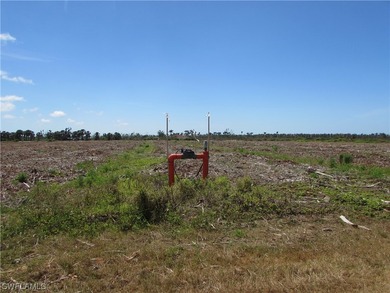 102.3 Acres...Located at the North end of Pine Island at the - photo 33