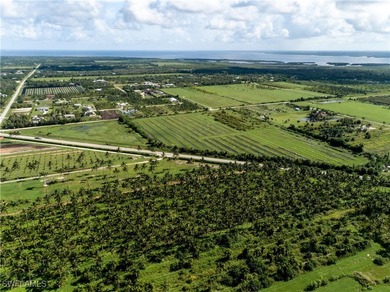 102.3 Acres...Located at the North end of Pine Island at the - photo 37