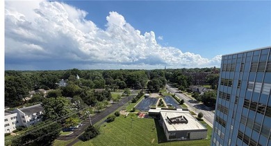 The Top Floor View in Brookside! Beautiful 12th floor 2BR/2BA - photo 8