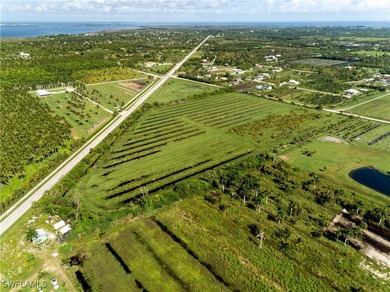 102.3 Acres...Located at the North end of Pine Island at the - photo 39