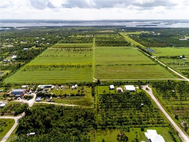 102.3 Acres...Located at the North end of Pine Island at the - photo 41