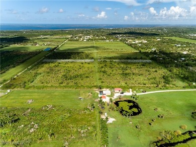 102.3 Acres...Located at the North end of Pine Island at the - photo 45