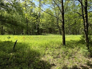 Upstate New York Camp or Camper Site - photo 3