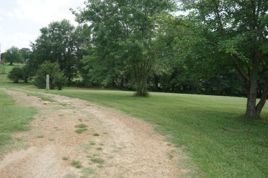 (private lake, pond, creek) Home For Sale in Hugo Oklahoma