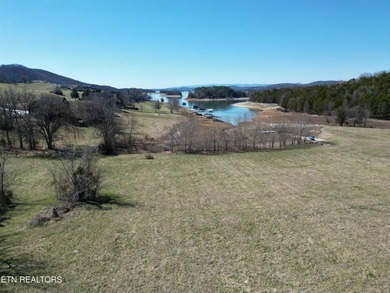 Presenting a rare opportunity to own a premier lakefront - photo 3