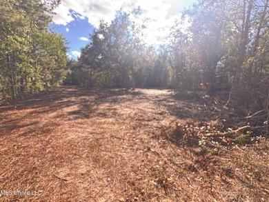 Nature abounds throughout 16.1 gorgeous acres full of oaks and - photo 3