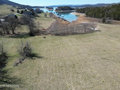 Presenting a rare opportunity to own a premier lakefront - photo 5