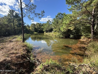 Nature abounds throughout 16.1 gorgeous acres full of oaks and - photo 5
