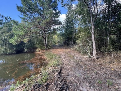 Nature abounds throughout 16.1 gorgeous acres full of oaks and - photo 9