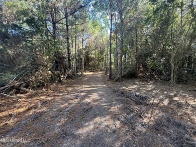 Nature abounds throughout 16.1 gorgeous acres full of oaks and - photo 10