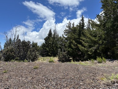 Exceptional opportunity to own six contiguous one-acre parcels - photo 4