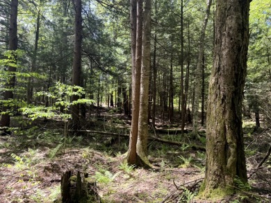 Upstate New York Camp or Camper Site - photo 6