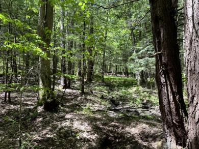 Upstate New York Camp or Camper Site - photo 4